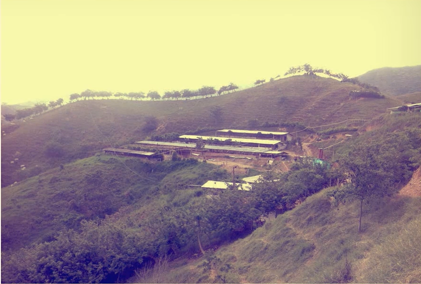 Captura de pantalla 2026-01-06 101743